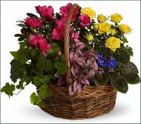 Florists_San Francisco_A Mystic Garden_Sympathy Basket.jpg