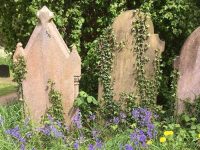 Cemeteries_York_England_York_Cemetery_Headstones_Flowers.jpg