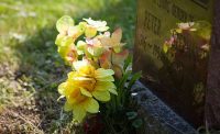 Cemeteries_Winnipeg_Elmwood_Cemetery_Grounds.jpg