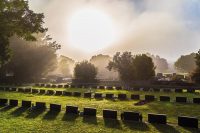 Cemeteries_Rockwood__Rookwood Cemetery_Grounds.jpg