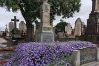 Cemeteries_St Kilda East_St Kilda Cemetery_Grounds.jpg