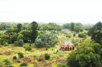 Cemeteries_Rockwood_Rookwood Cemetery_Aerial.jpg