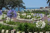 Cemeteries_Bronte_Waverly Cemetery_Grounds_3.jpg